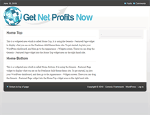 Tablet Screenshot of getnetprofitsnow.com
